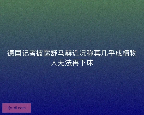 德国记者披露舒马赫近况称其几乎成植物人无法再下床