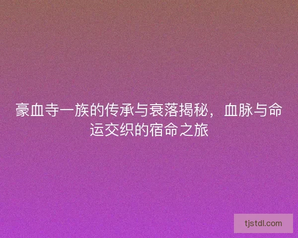豪血寺一族的传承与衰落揭秘，血脉与命运交织的宿命之旅