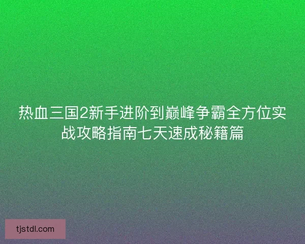 热血三国2新手进阶到巅峰争霸全方位实战攻略指南七天速成秘籍篇
