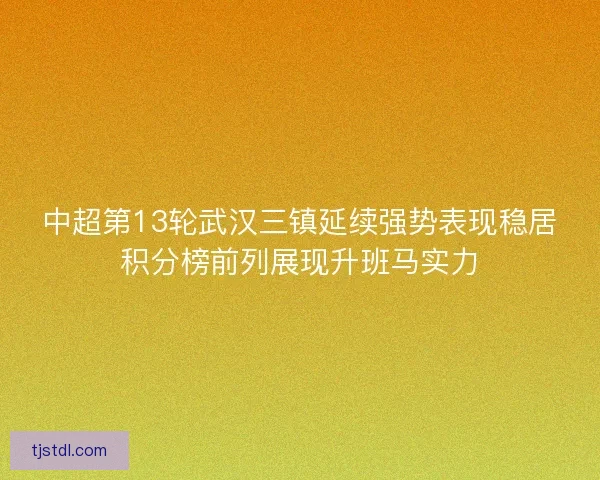 中超第13轮武汉三镇延续强势表现稳居积分榜前列展现升班马实力